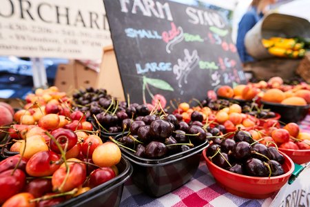 🐄 낙농왕국 오라체 이미지 10